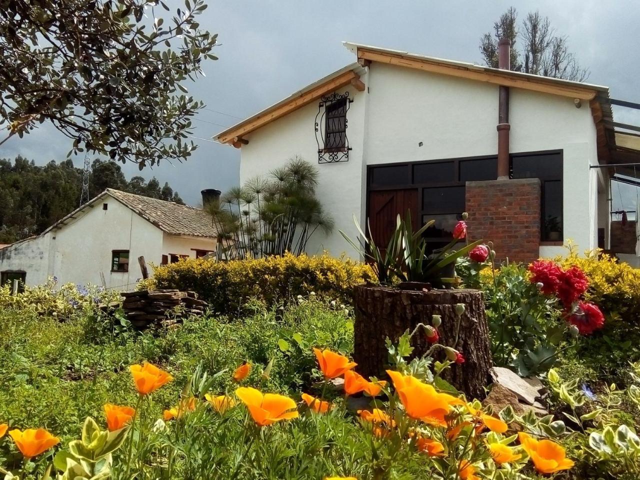 Cabanas & Glamping De Ruana Por Boyaca Пайпа Экстерьер фото